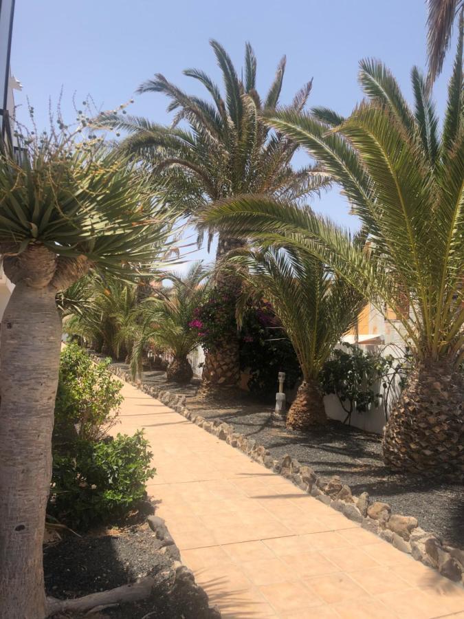 Apartamento Smile Complex Amaya Fuerteventura Costa De Antigua Eksteriør billede