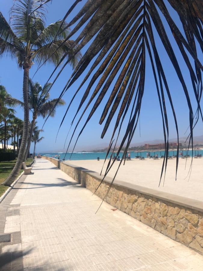Apartamento Smile Complex Amaya Fuerteventura Costa De Antigua Eksteriør billede